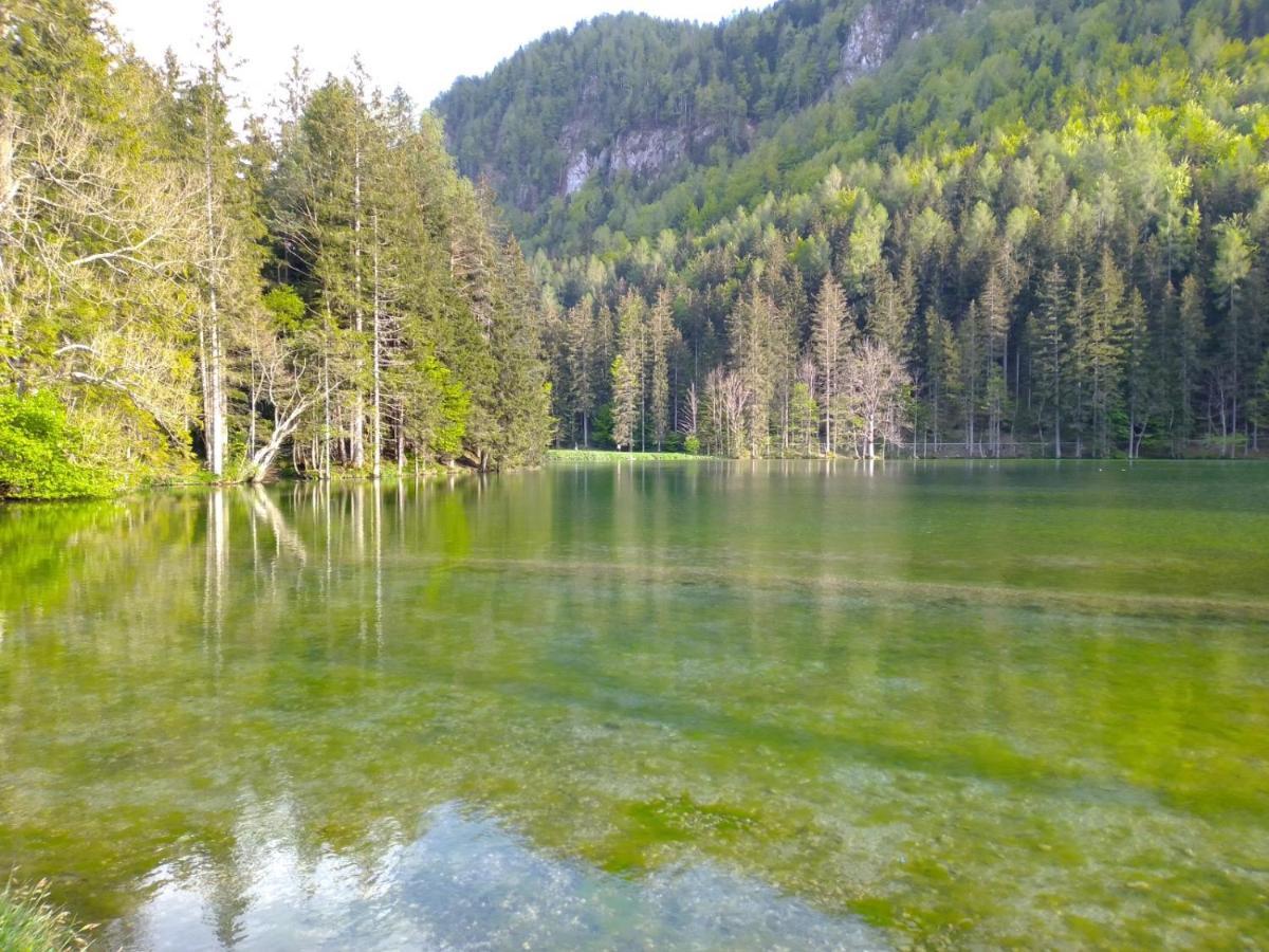 Camping & Glamping Grintovec Преддвор Экстерьер фото