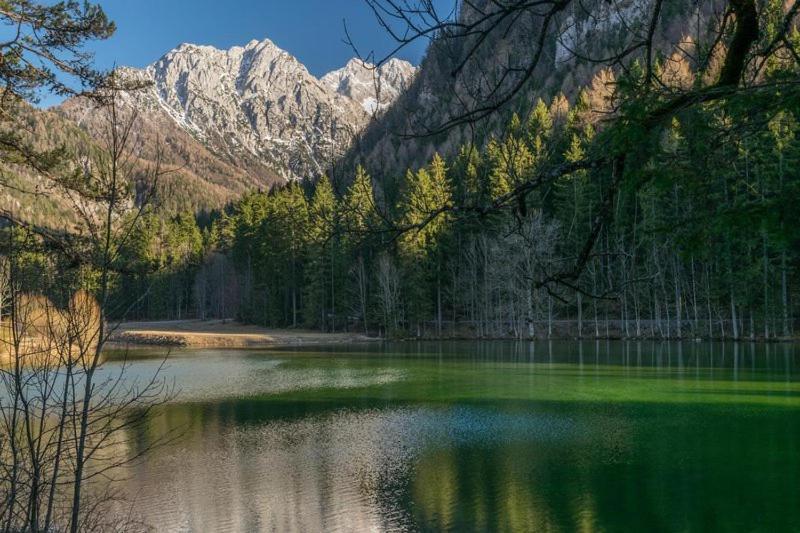Camping & Glamping Grintovec Преддвор Экстерьер фото